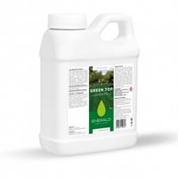 Concime liquido GreenTop, 6% Fe, 1% Fe HEDTA, Kg5