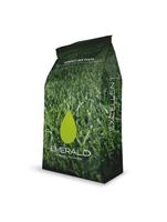 Miscuglio Andromeda Star Seed -Kg10- Festuca-Loietti