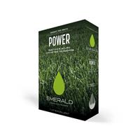 Miscuglio Power Excellent -Kg1- 100% Festuca